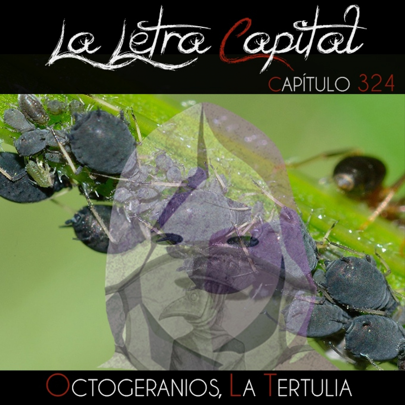 LALETRACAPITAL PODCAST 324 - OCTOGERANIOS - LA TERTULIA (OMC RADIO) episode artwork