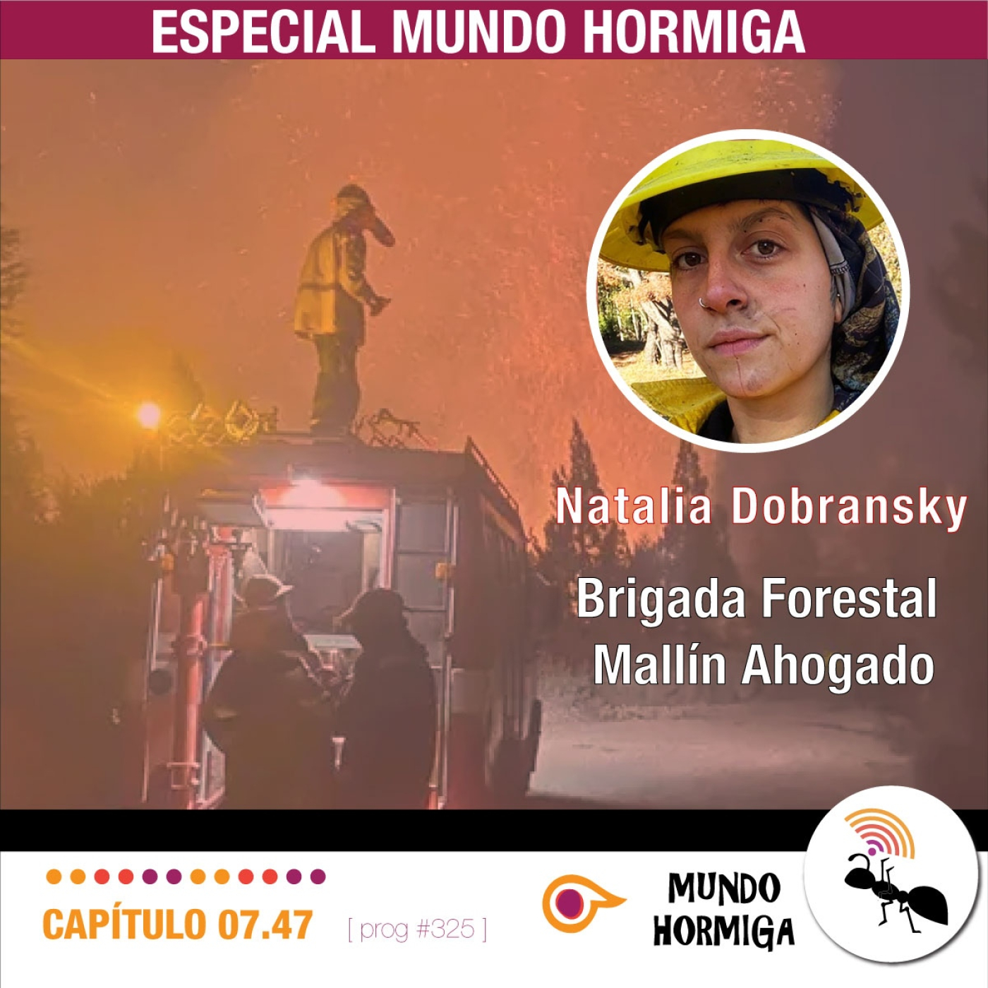 Mundo Hormiga - 25 de enero de 2026 episode artwork