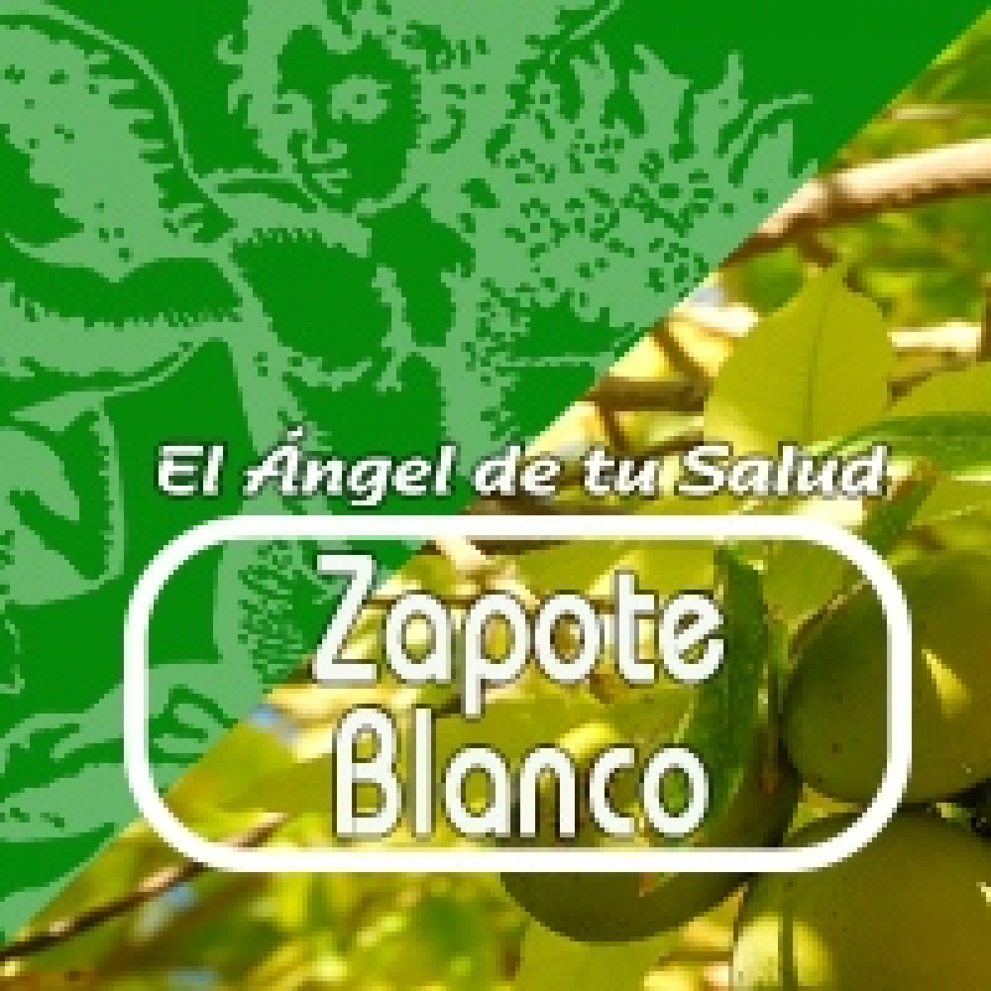 El Angel de tu Salud - ZAPOTE BLANCO ***** episode artwork