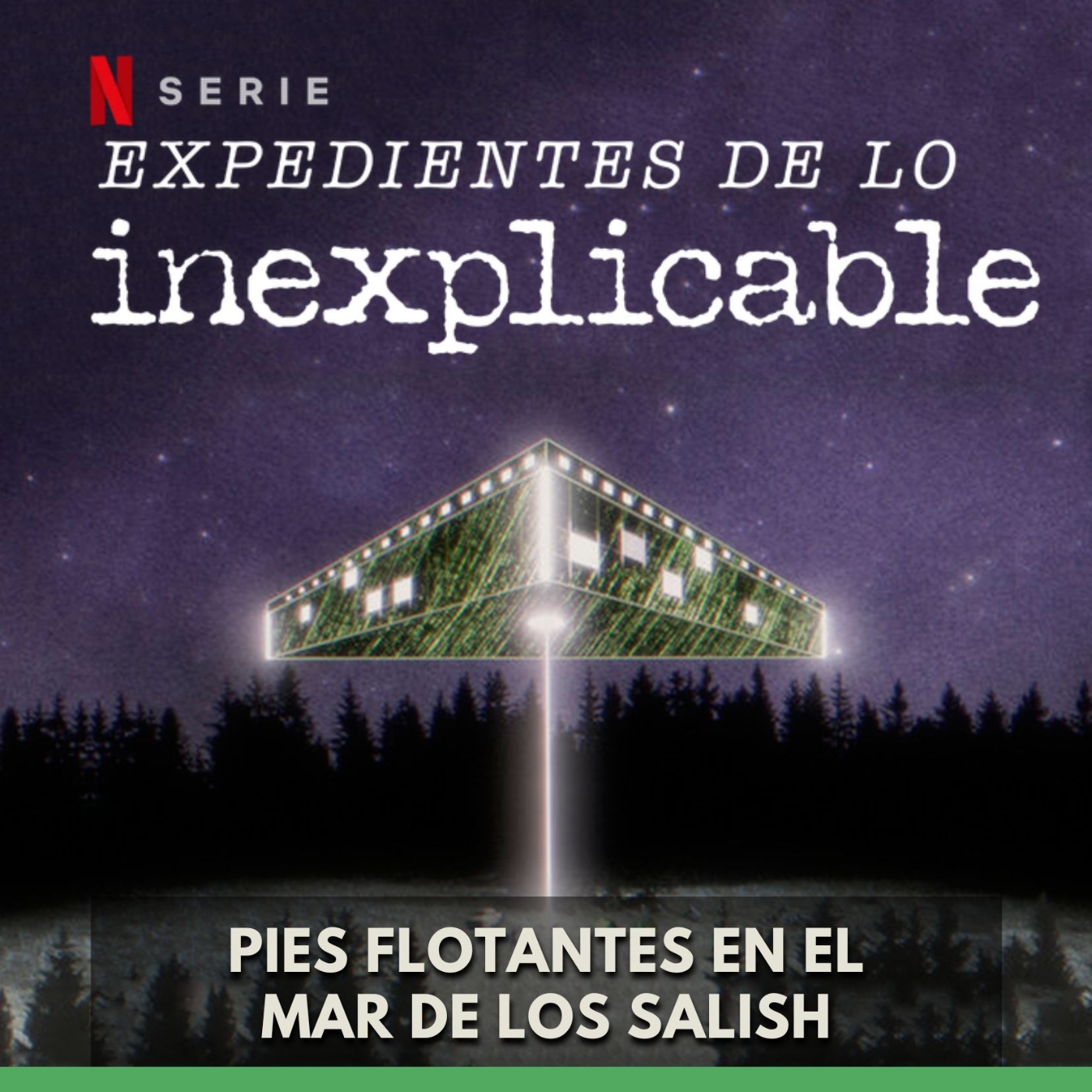 Expedientes de lo Inexplicable - Pies flotantes en el Mar de los Salish episode artwork