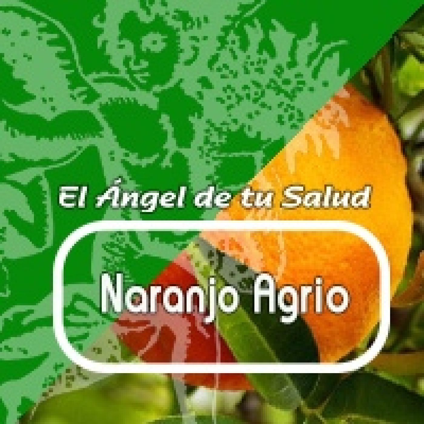 EL ÁNGEL DE TU SALUD