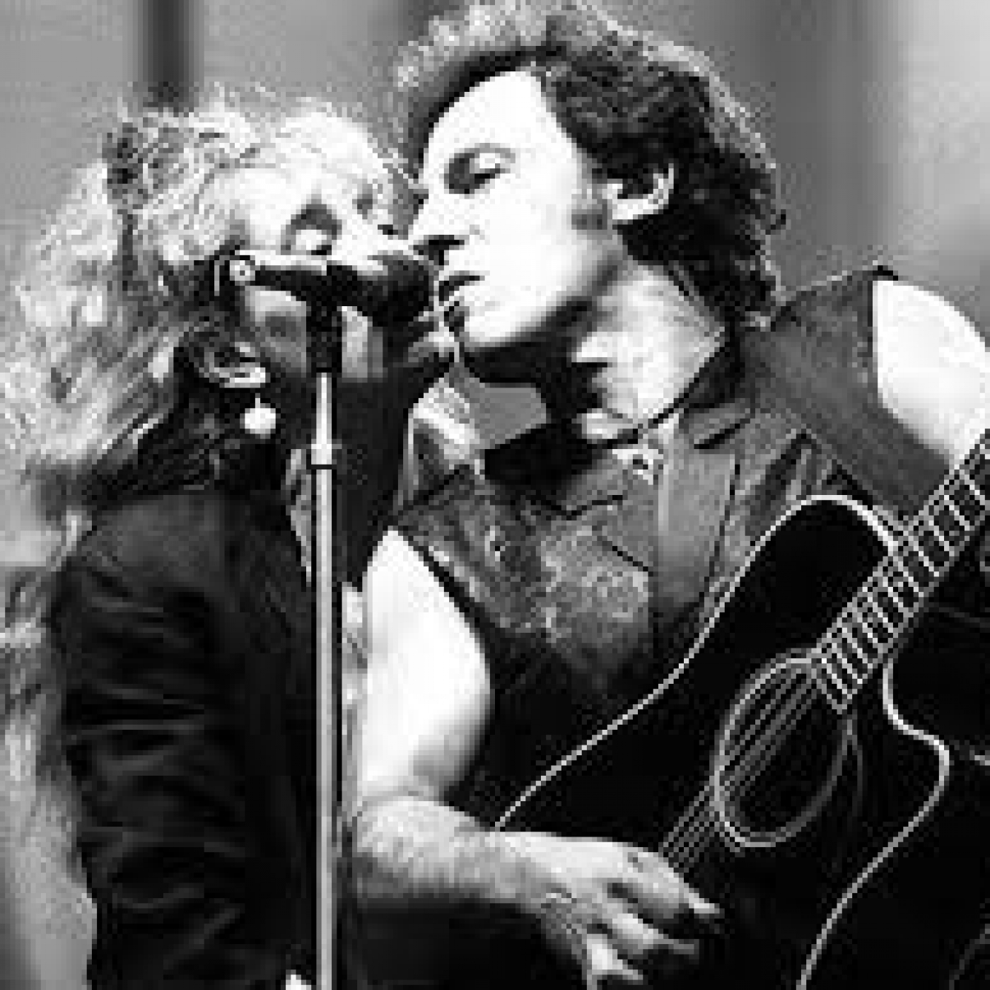 Els Fans de Bruce Springsteen