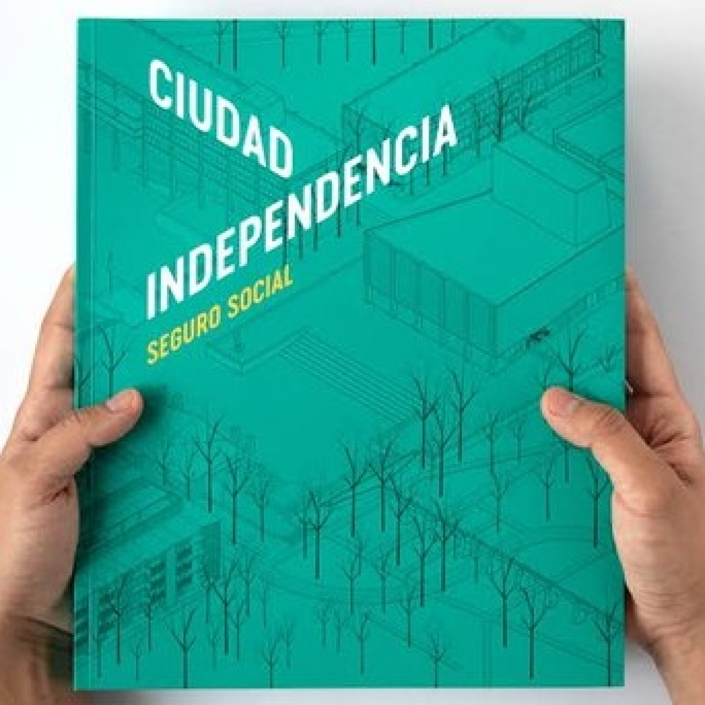 Apiedepágina IMER