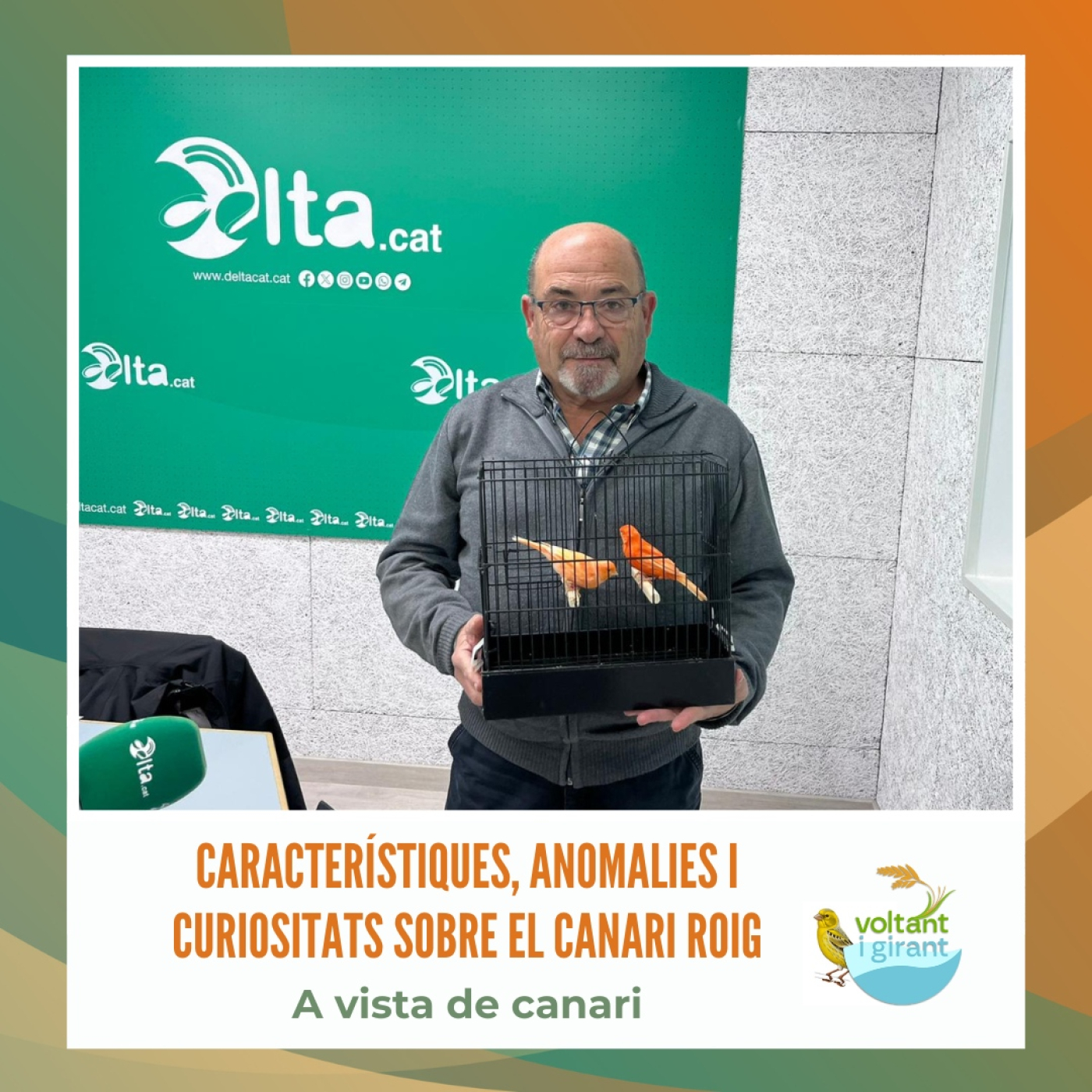 Característiques, anomalies i curiositats sobre el canari roig episode artwork