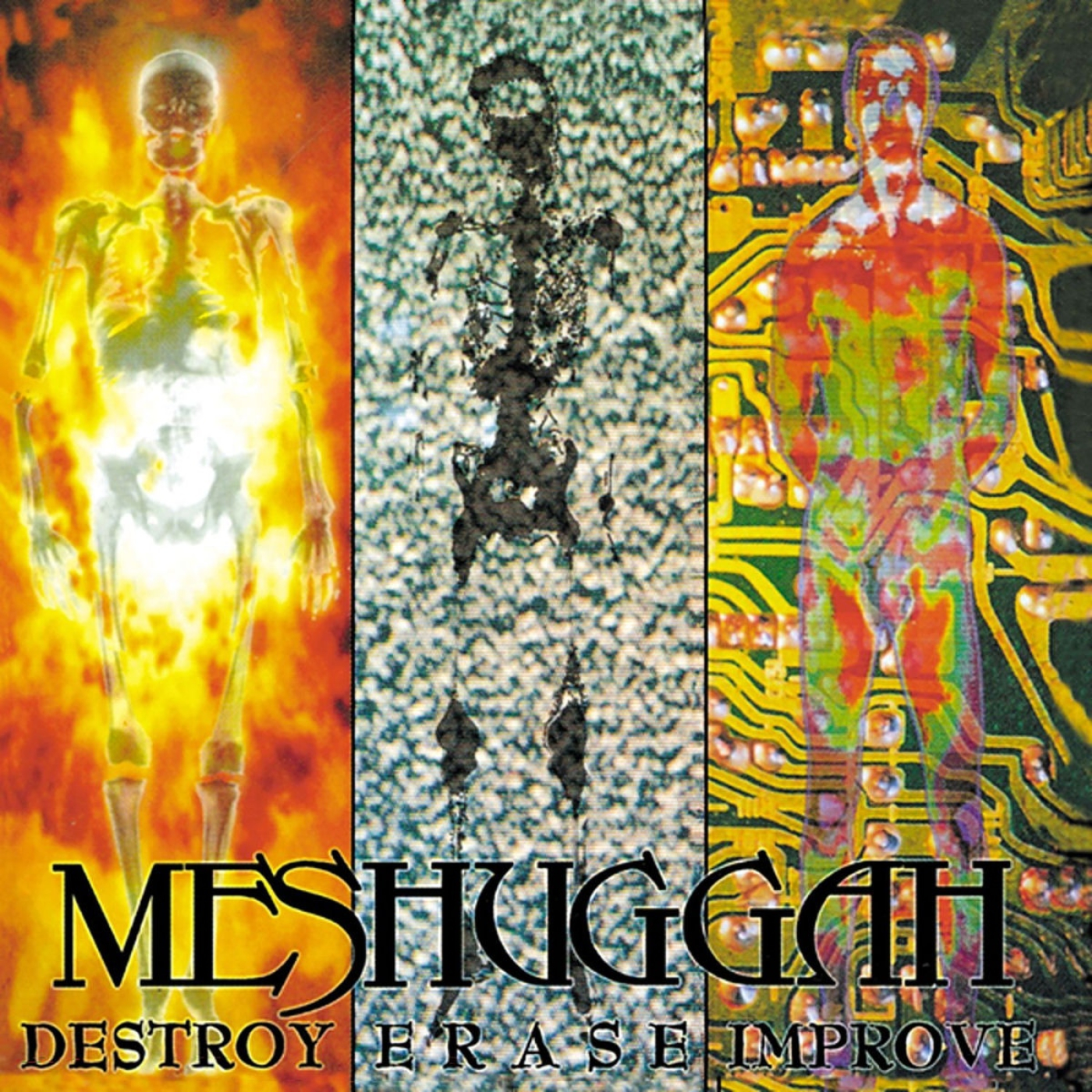 Meshuggah - 1995 - Destroy Erase Improve episode artwork