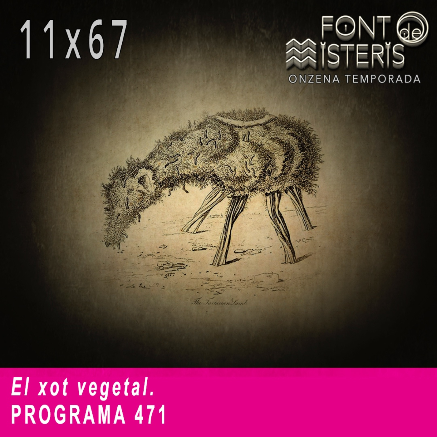 FONT DE MISTERIS T11P67- El Xot Vegetal- Programa 471| IB3 Ràdio