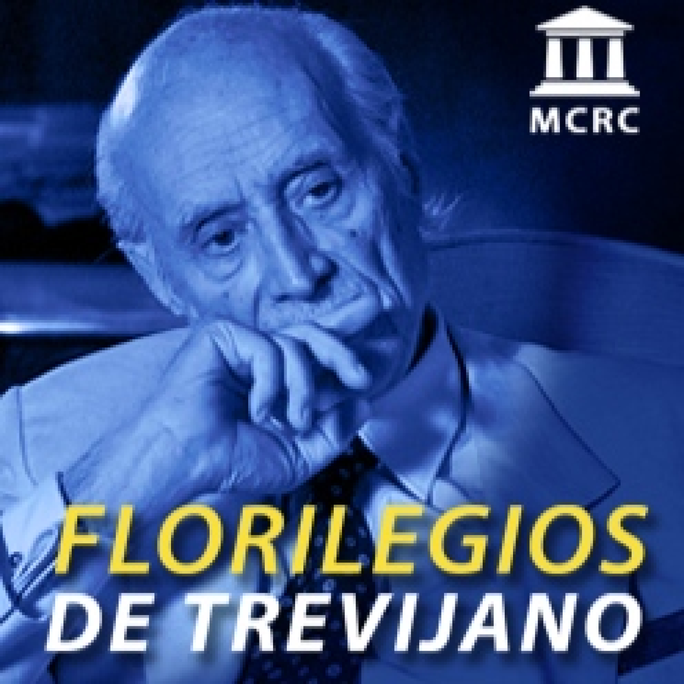 Radio Libertad Constituyente