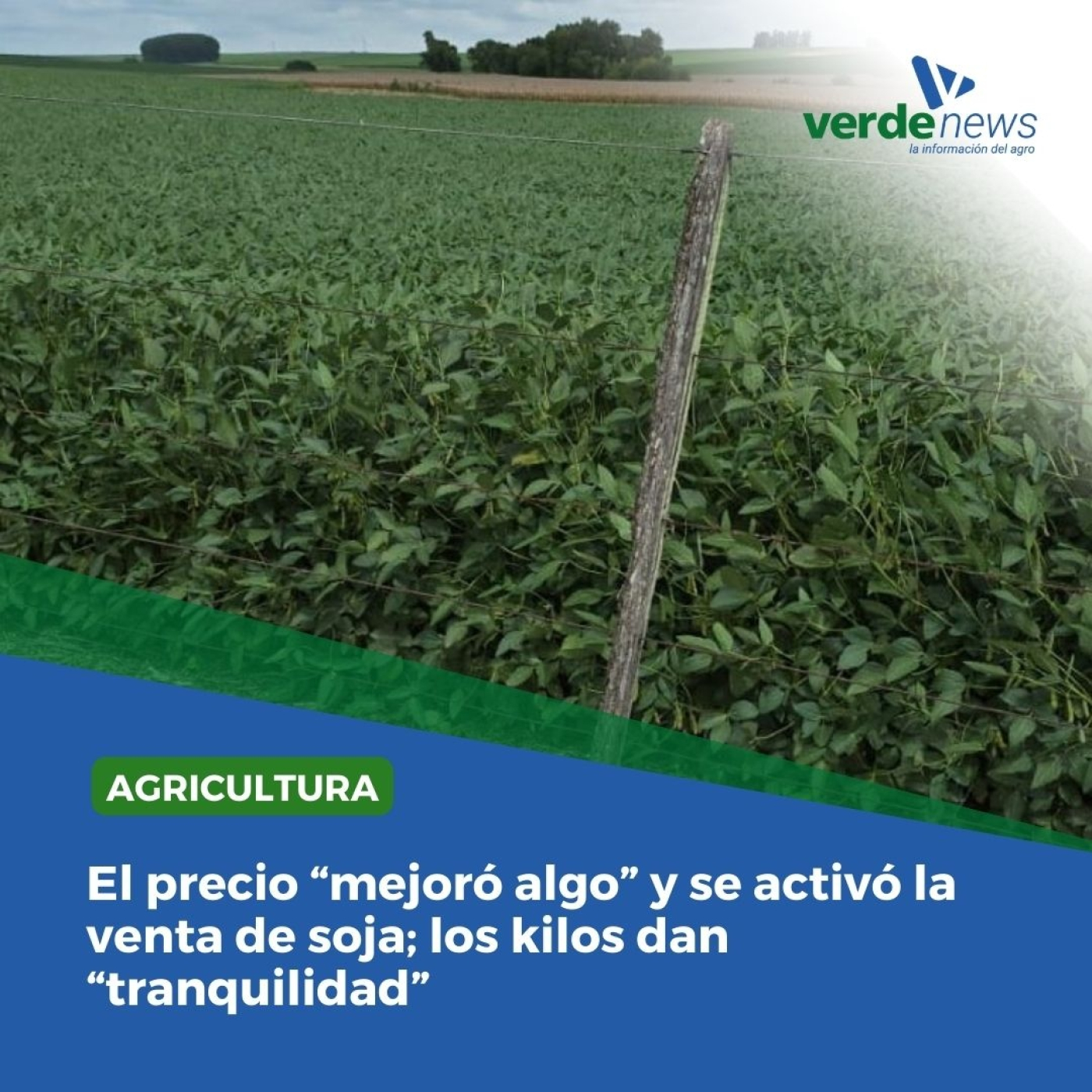 verdemedia