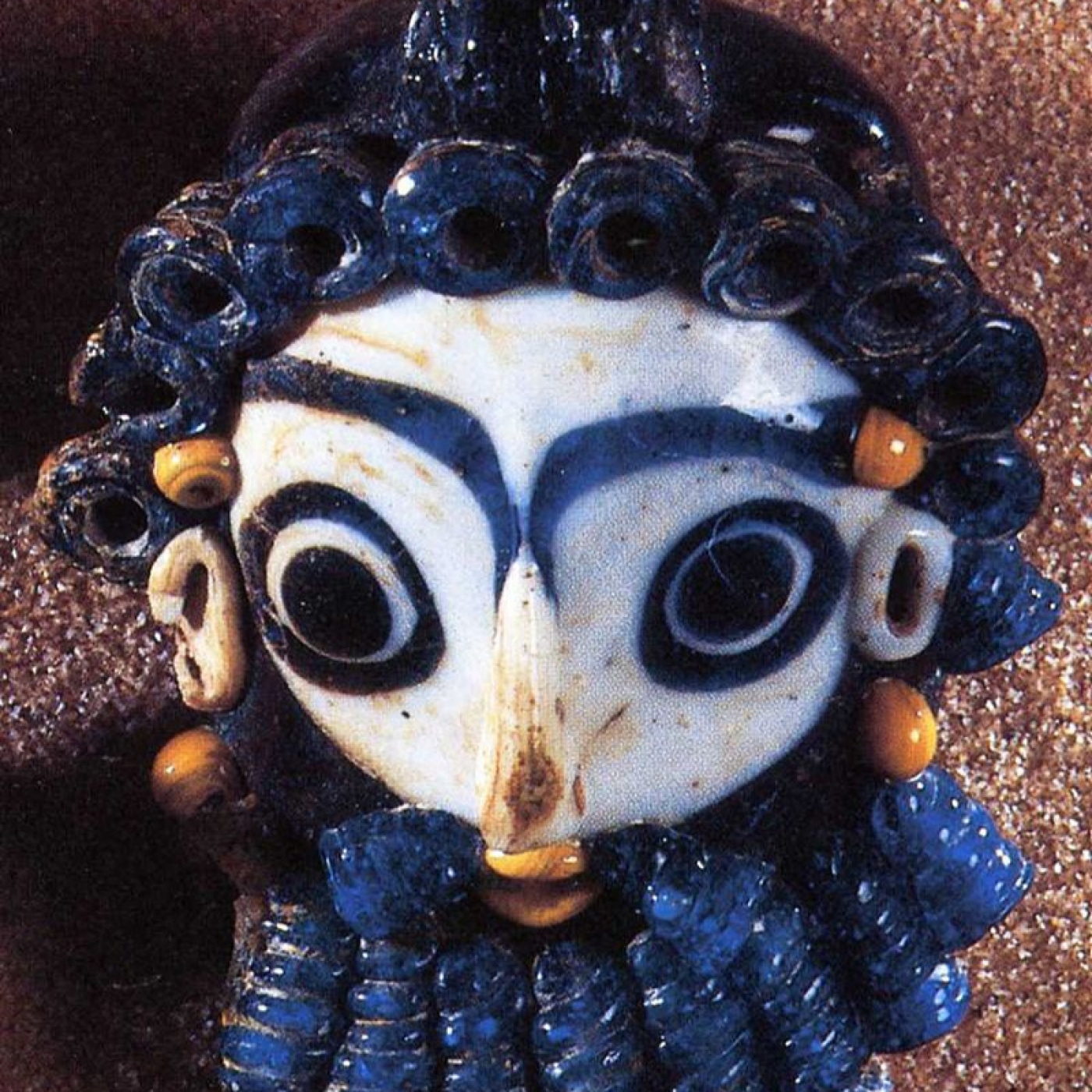 Podcaliptus Bonbon