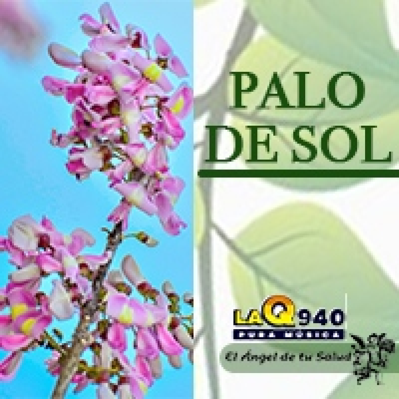 El Ángel de tu Salud - Palo de Sol** episode artwork