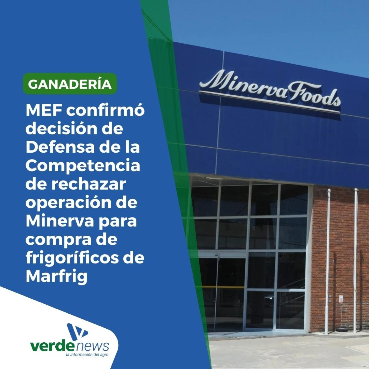 verdemedia