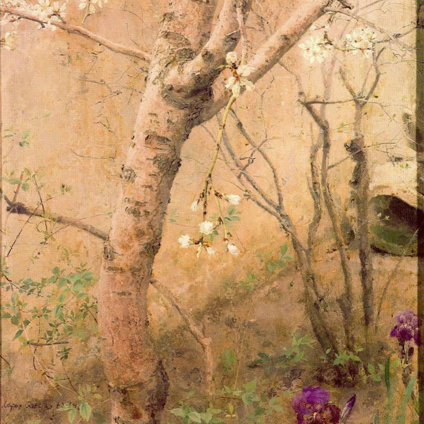 Entre el Arte y el Criterio de Antonio López Garcia episode artwork