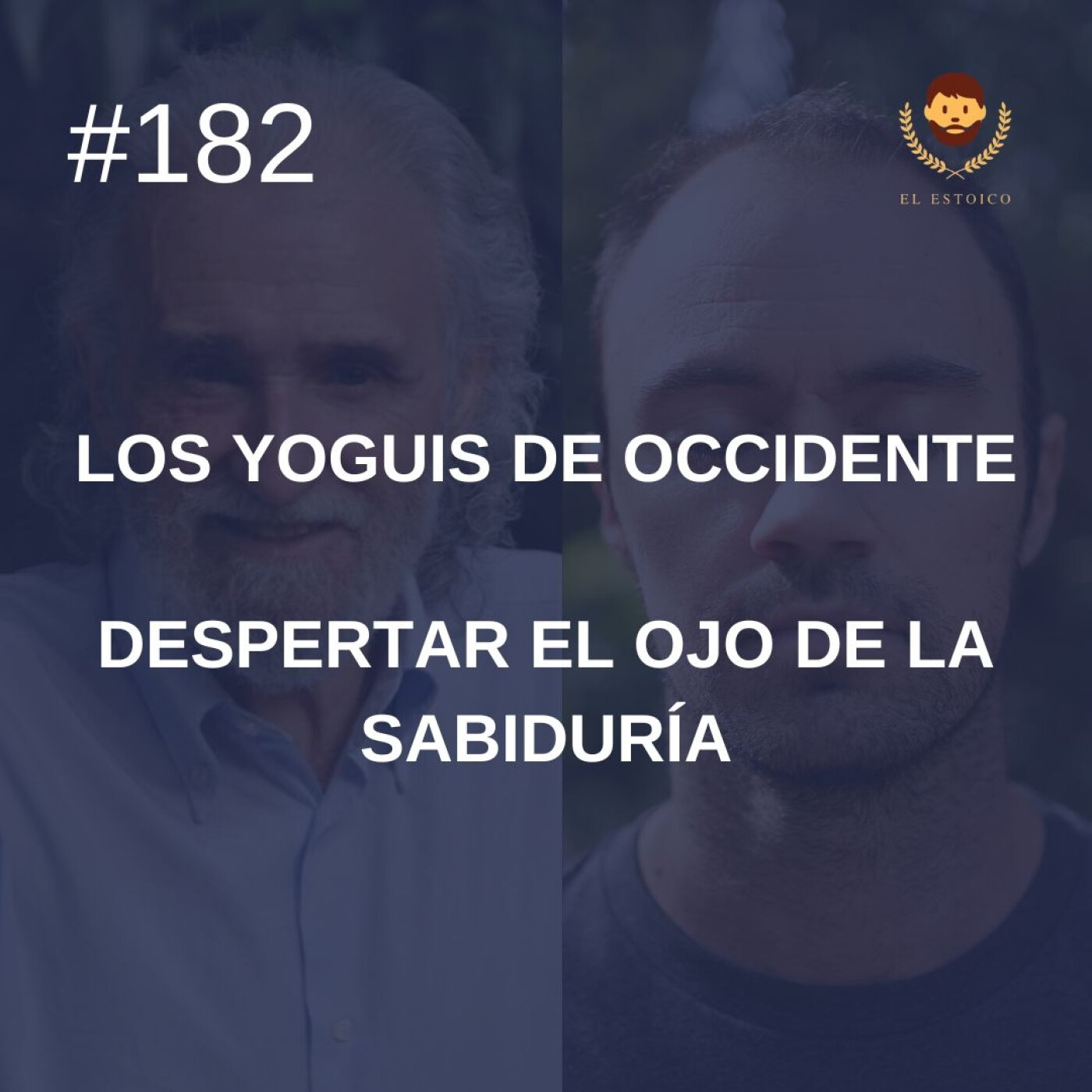 #182: Despertar el ojo de la sabiduría, con Ramiro Calle (Los Yoguis de Occidente) episode artwork
