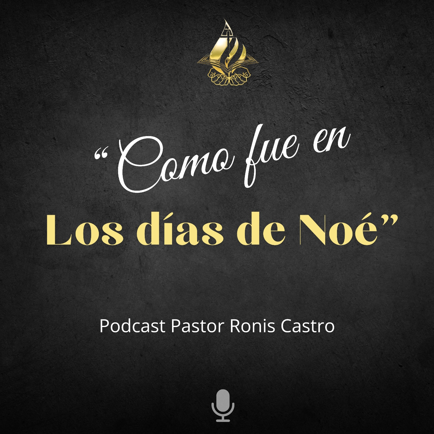 Transformando tus sábados