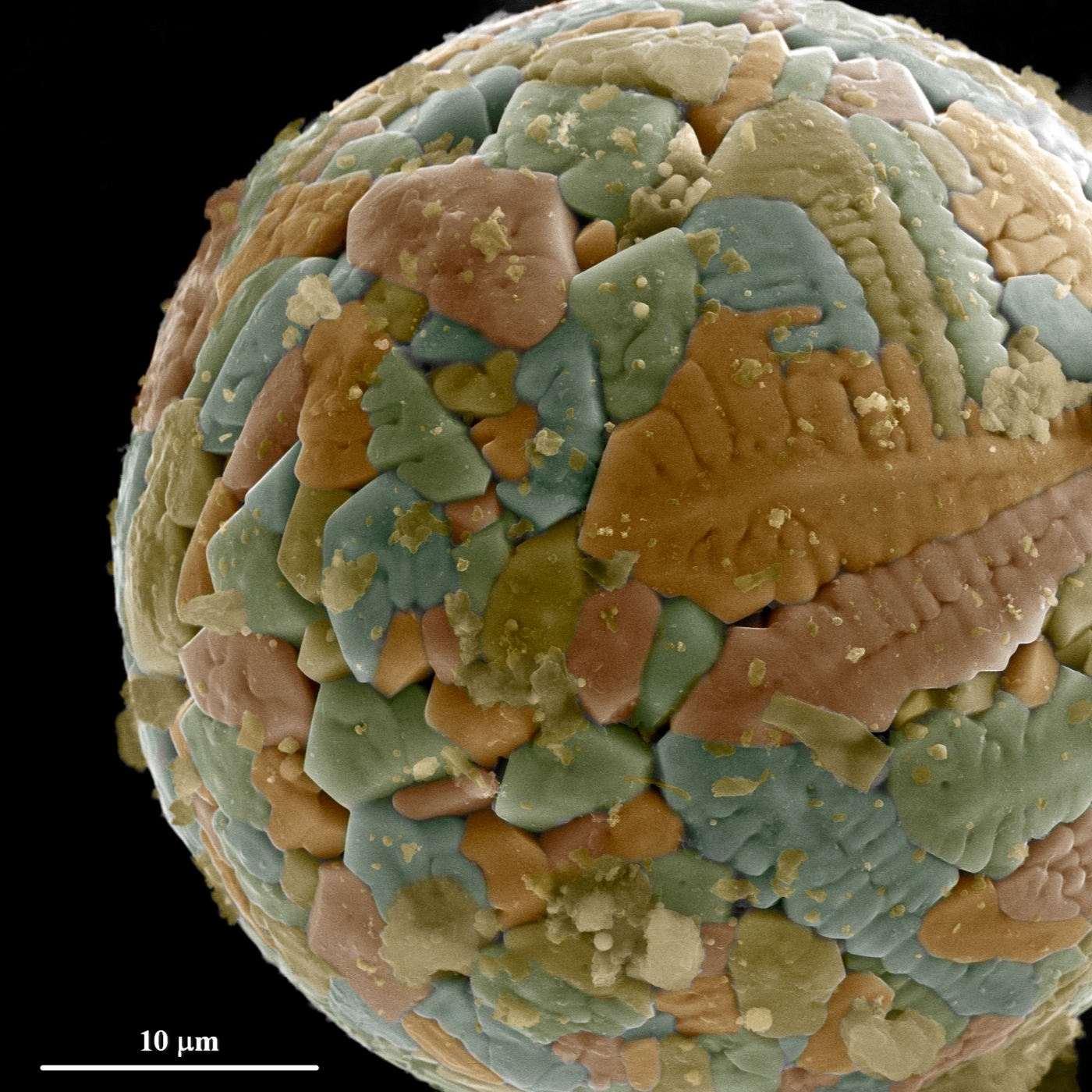 Fotciencia18