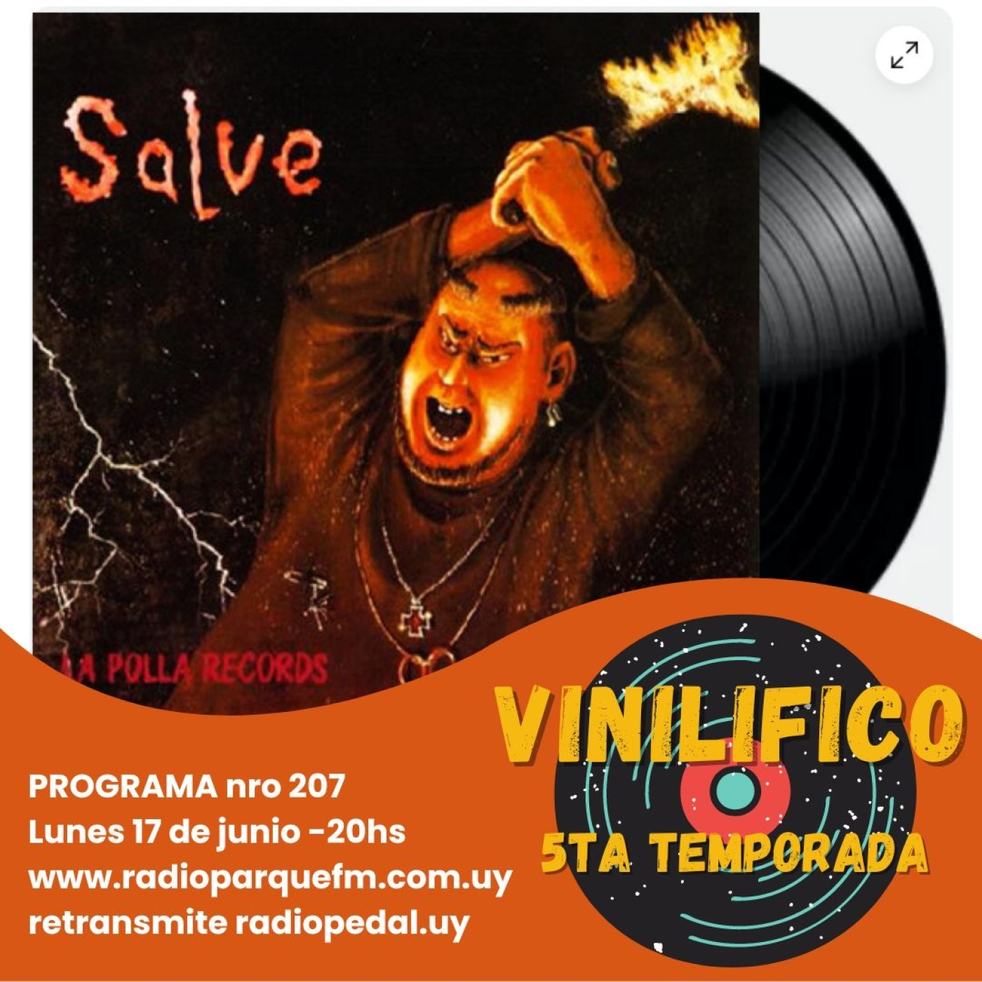 Vinilifico