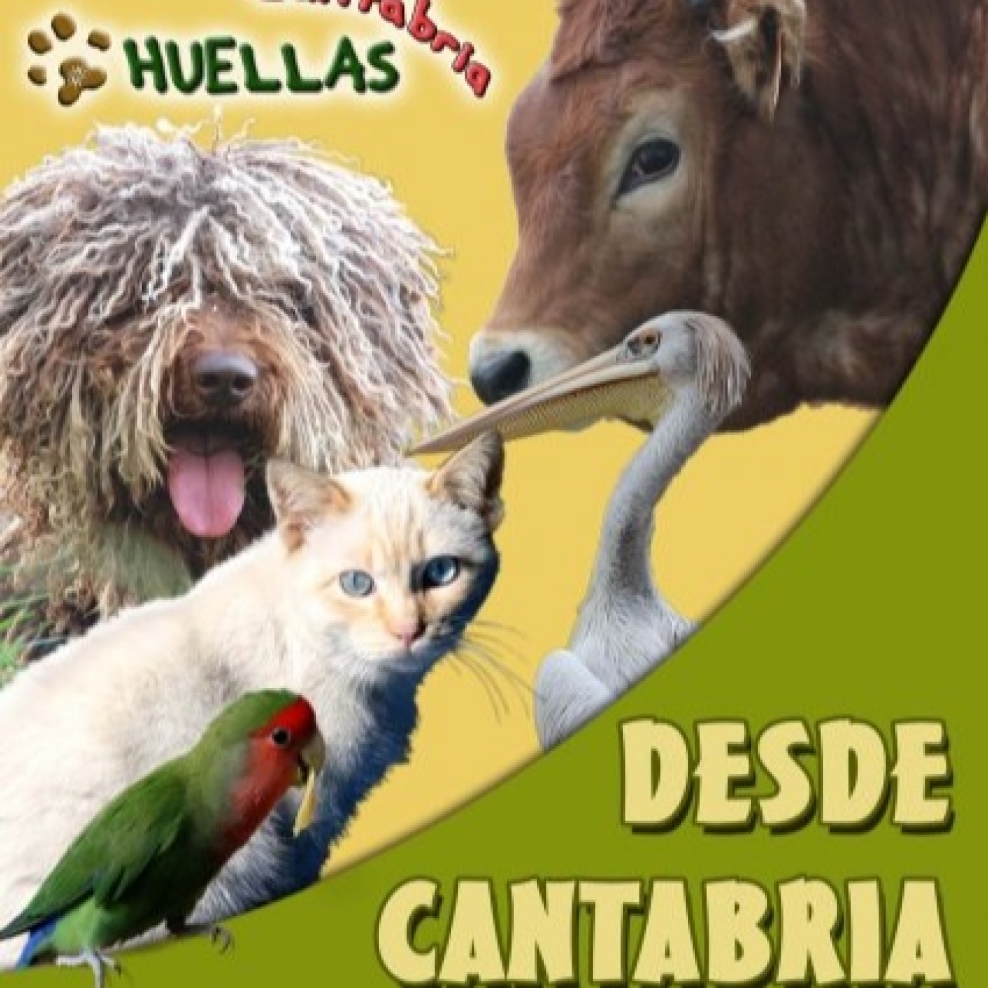 HUELLAS CANTABRIA programa de la semana del 3 de febrero 2025 con entrevista a Maria José de Intercids y Lara de Gatucos episode artwork
