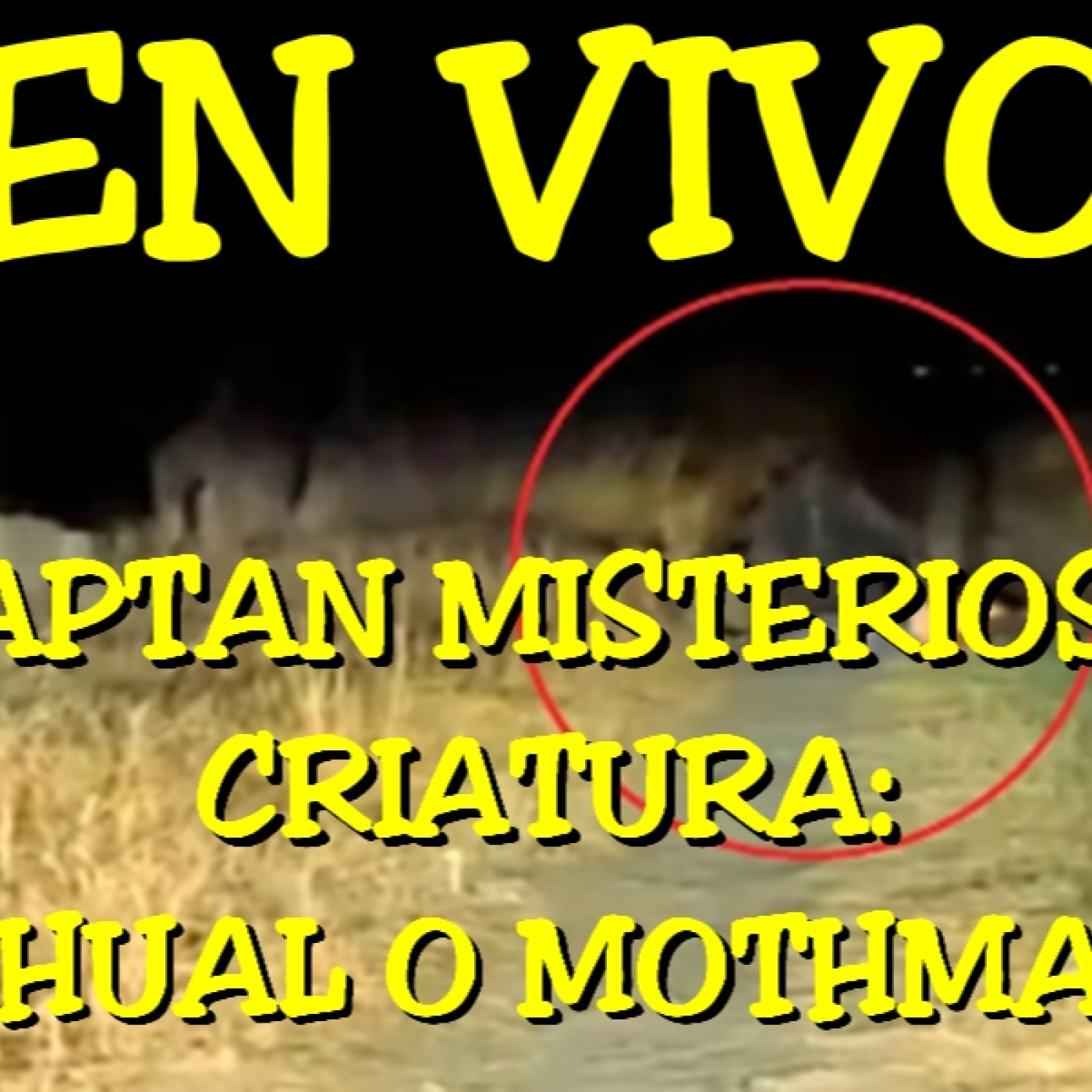 Los desvelados - 2024 - captan misteriosa criatura_ nahual o mothman