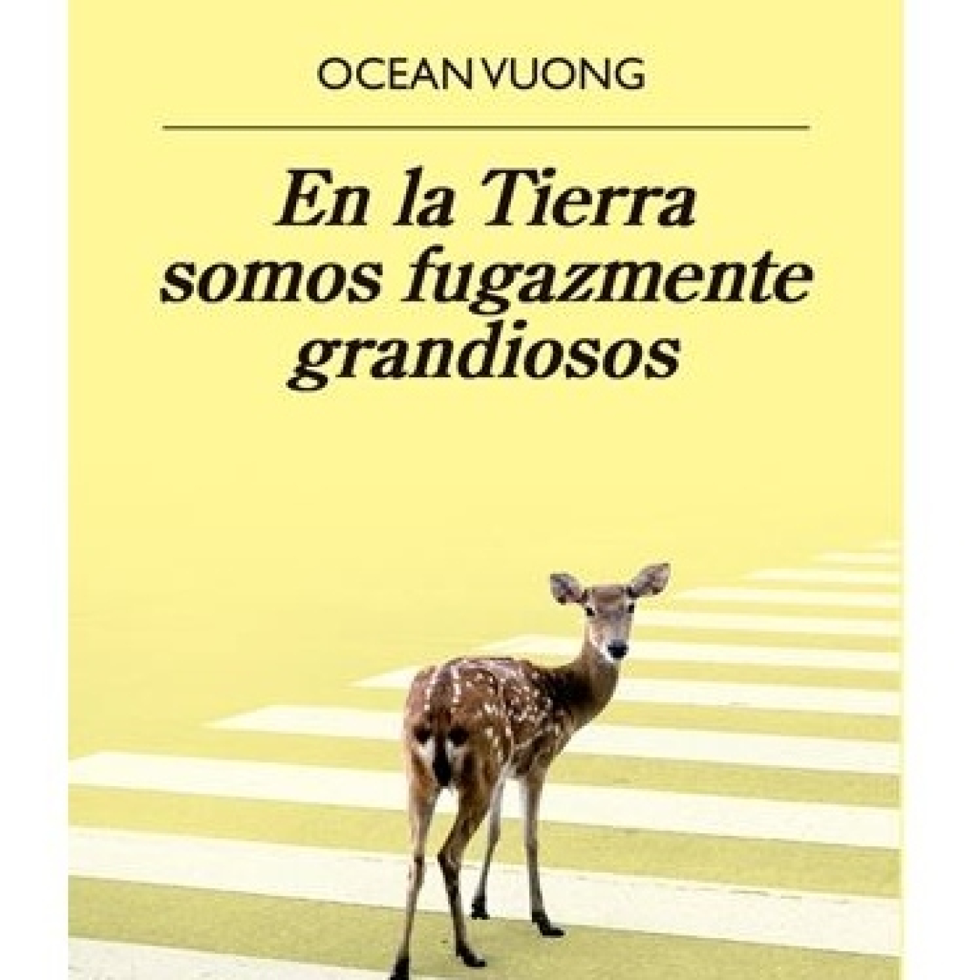 Por qué estoy tan triste teniéndolo todo
