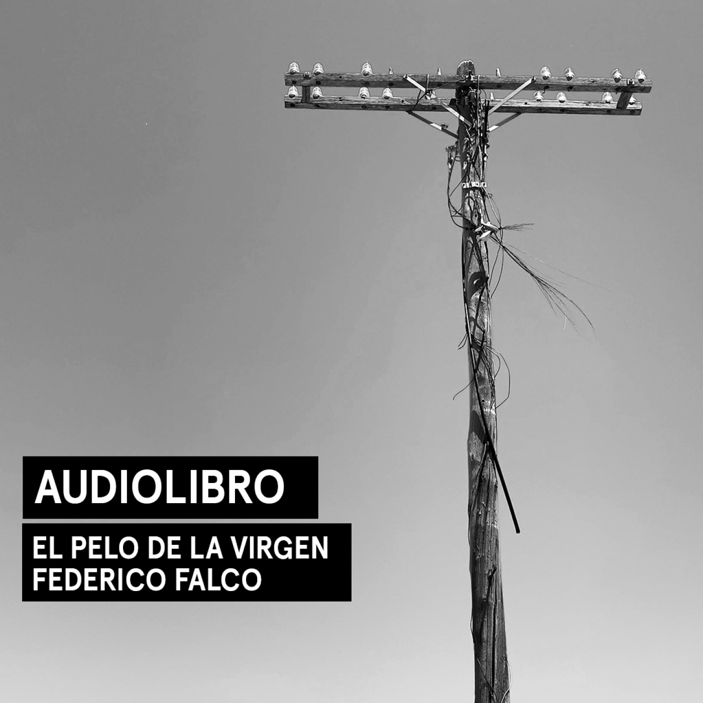 El pelo de la virgen - Federico Falco