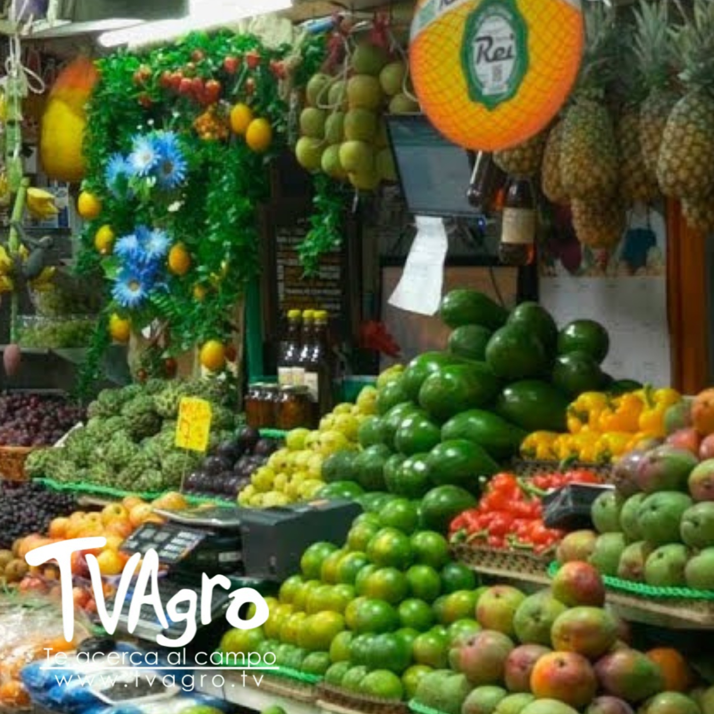 TV AGRO