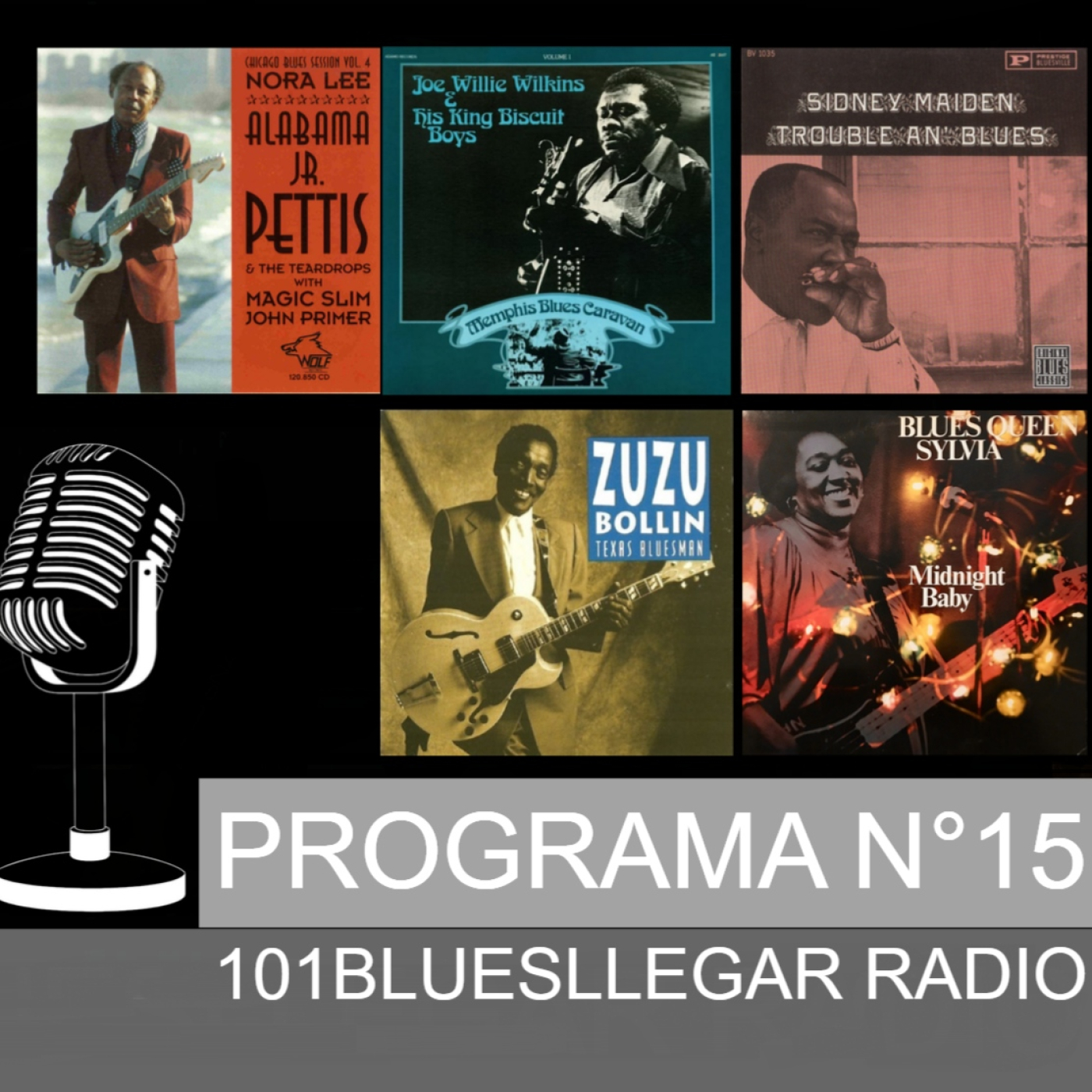 101Bluesllegar Radio - Programa N° 15 (2026) episode artwork