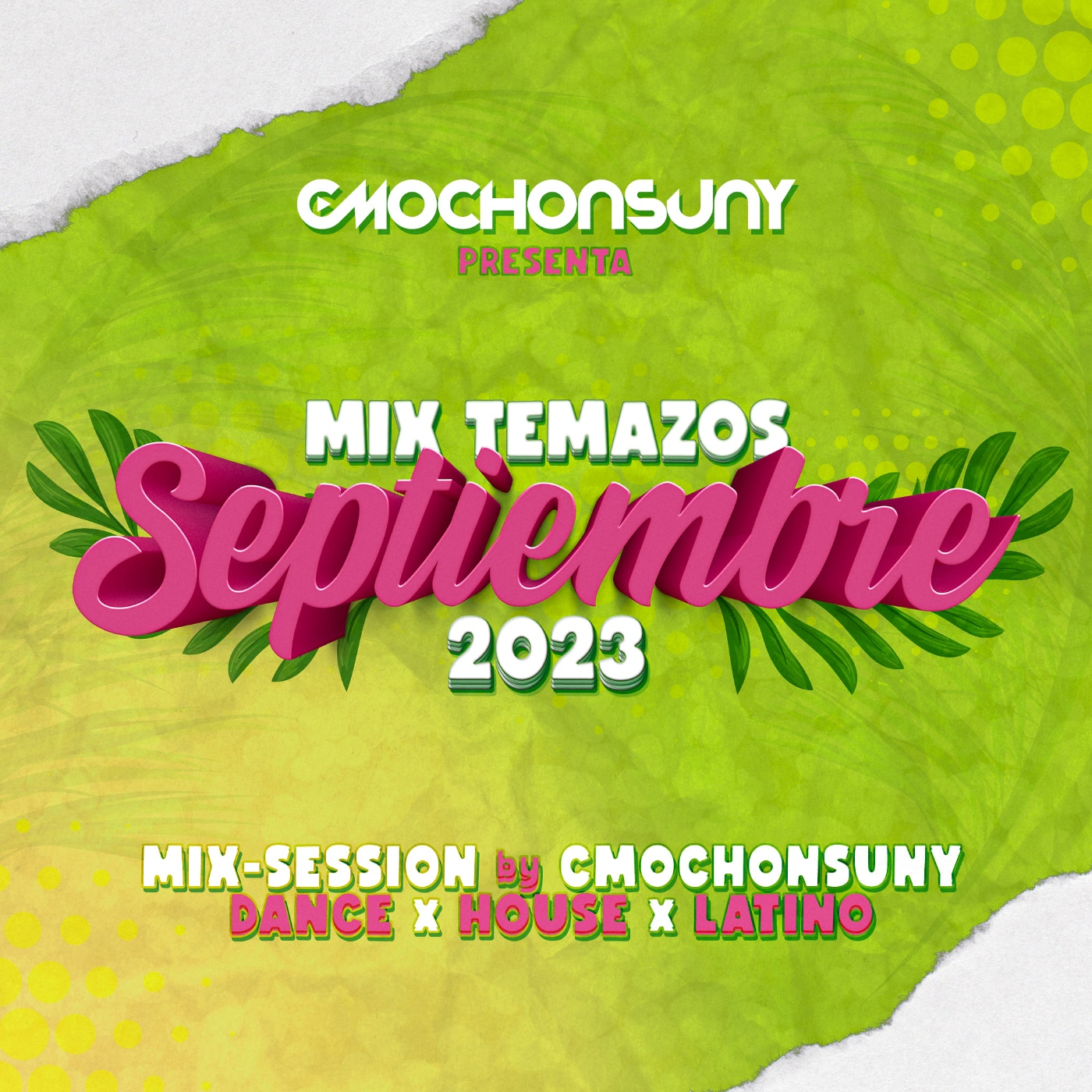 SESIONES CMOCHONSUNY