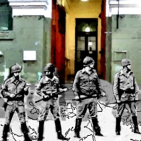 embed image