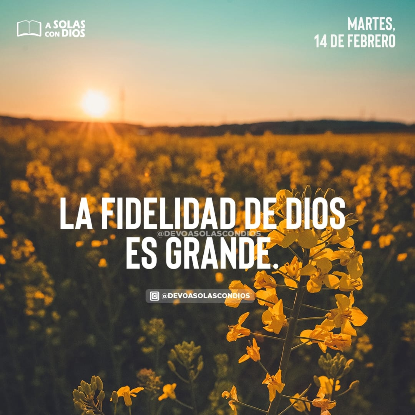A Solas con Dios