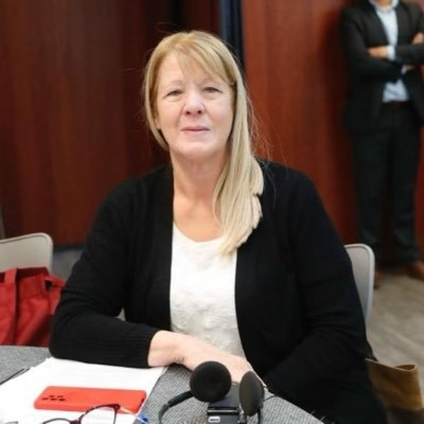 Programas FM Milenium