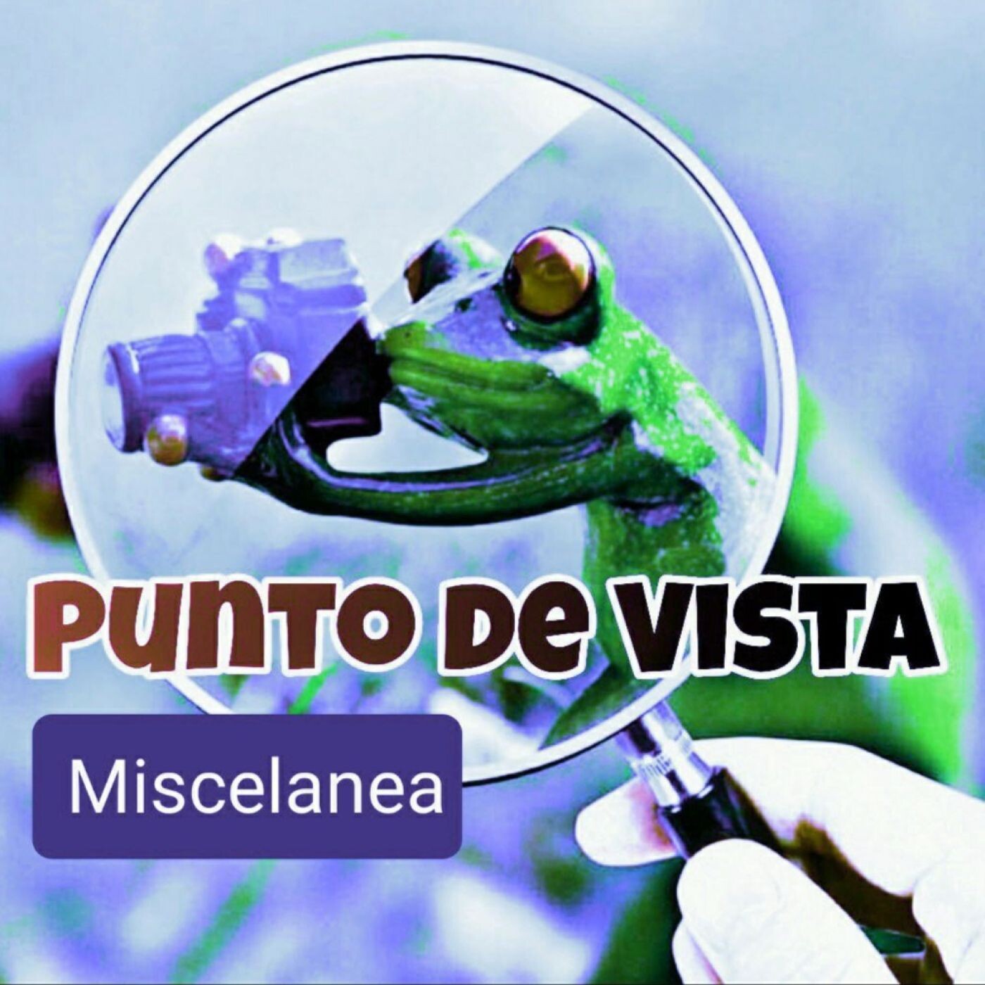 Punto de Vista