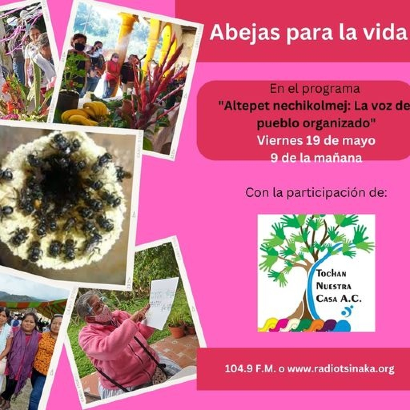 Radio Tsinaka Abejas para la vida
