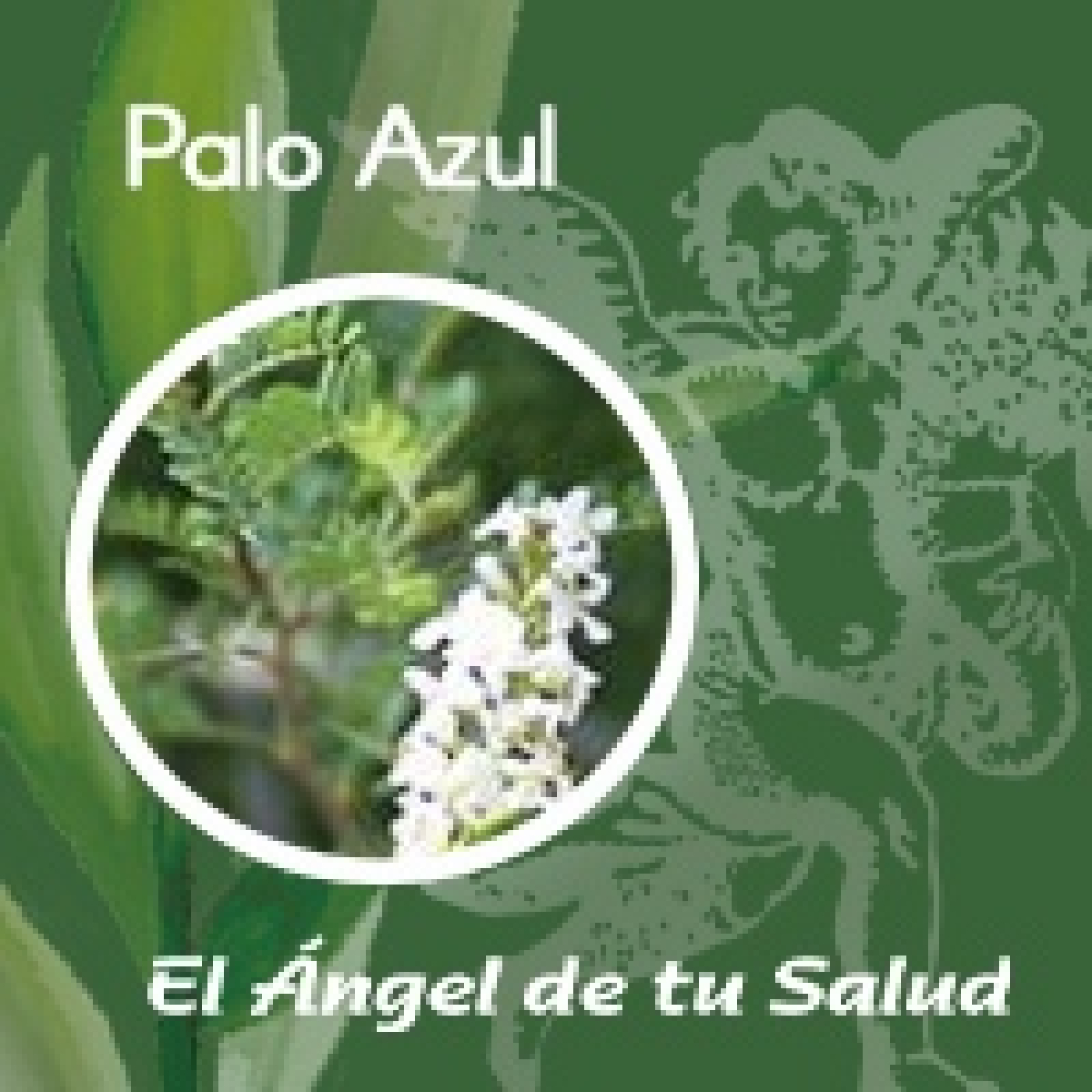 El Ángel de tu Salud - Palo Azul ** episode artwork