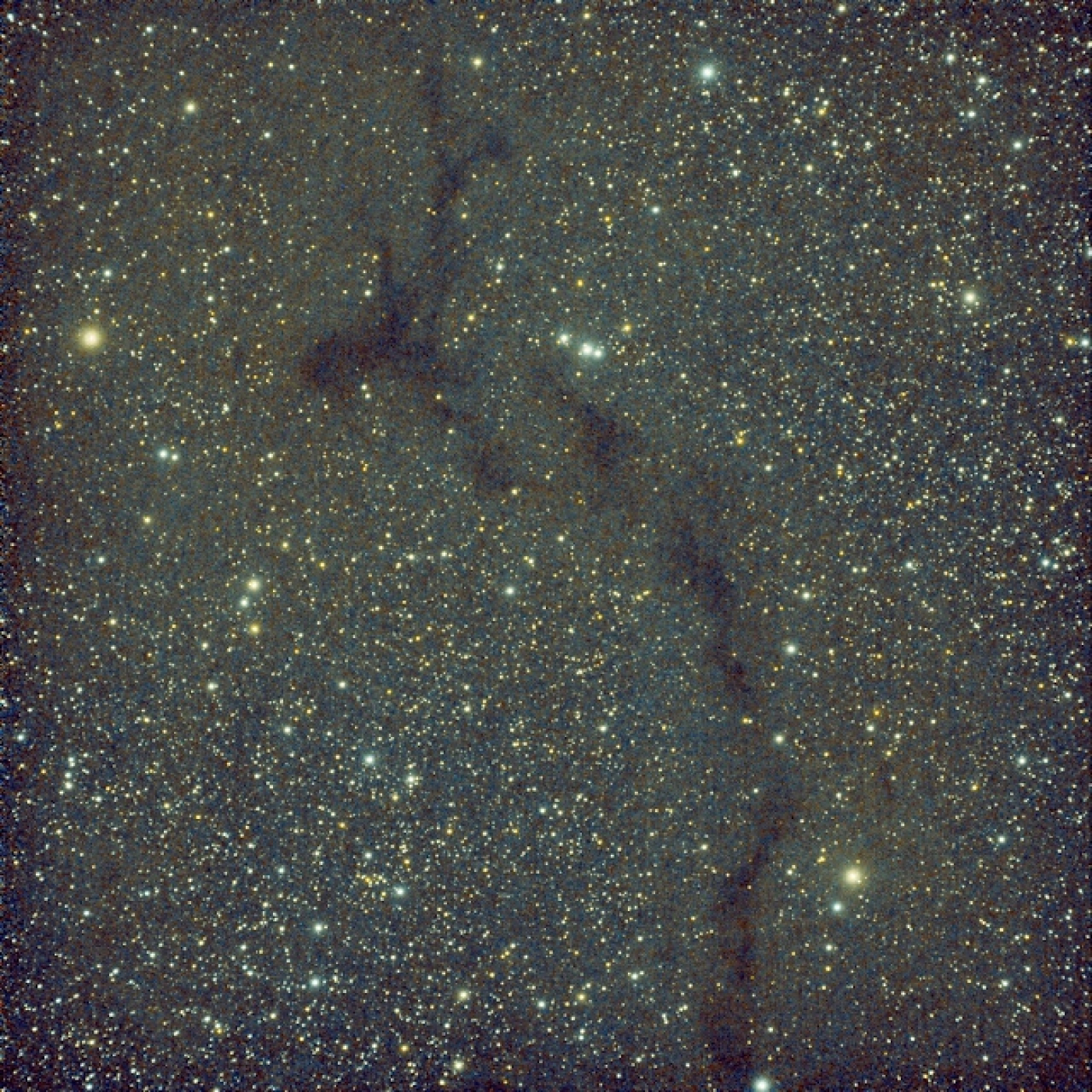 Bajo las estrellas, una mirada al universo