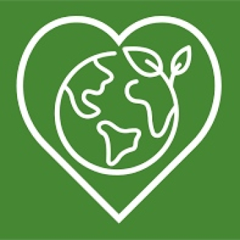 embed image