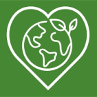 embed image