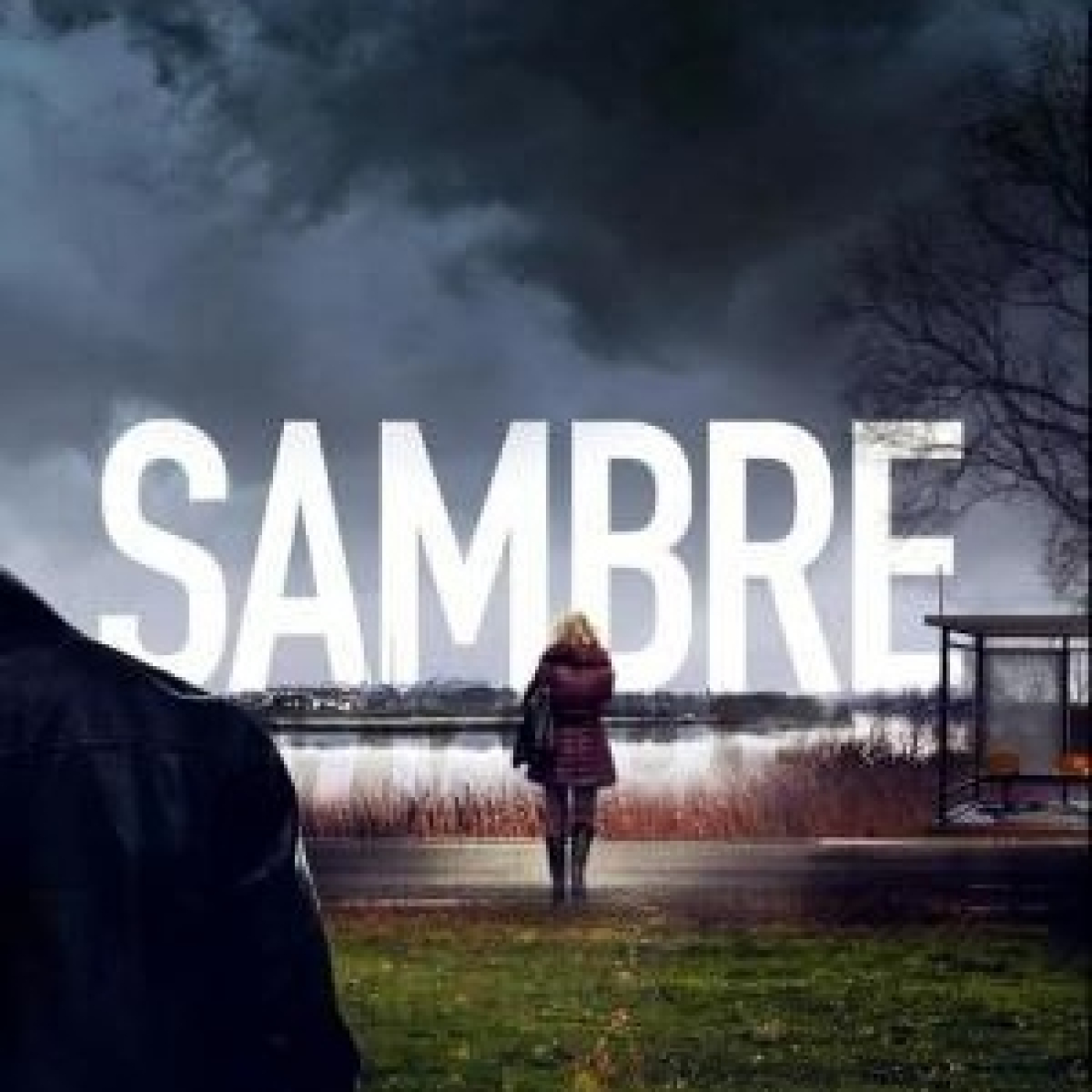 AlbertoTVseries
