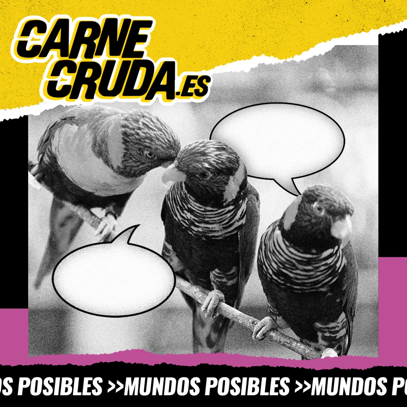 Carne Cruda - PROGRAMAS