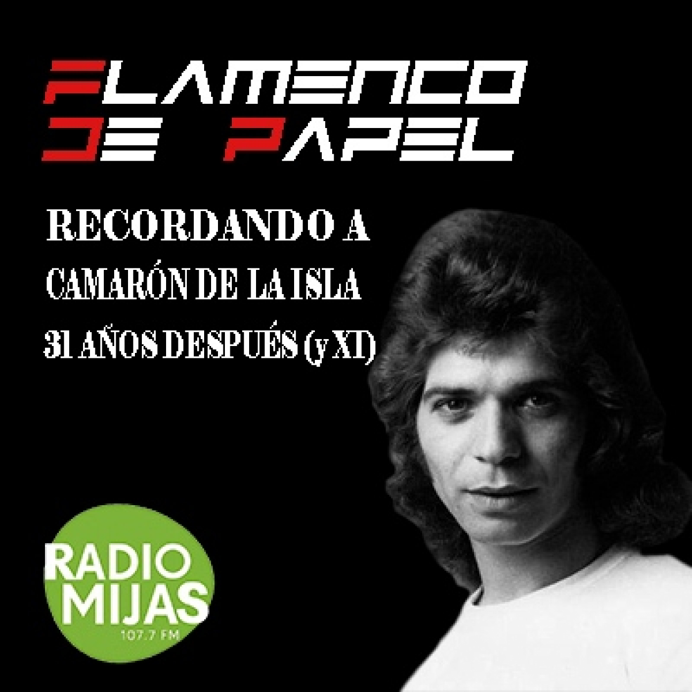 FLAMENCO DE PAPEL