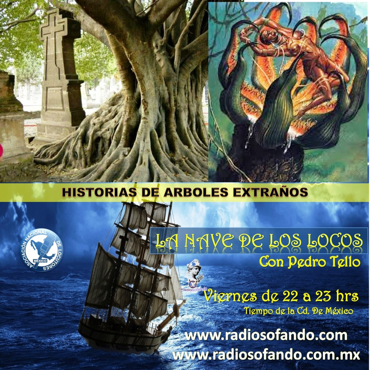 La Nave de los Locos_HISTORIAS DE ARBOLES EXTRAÑOS_08-03-24 episode artwork