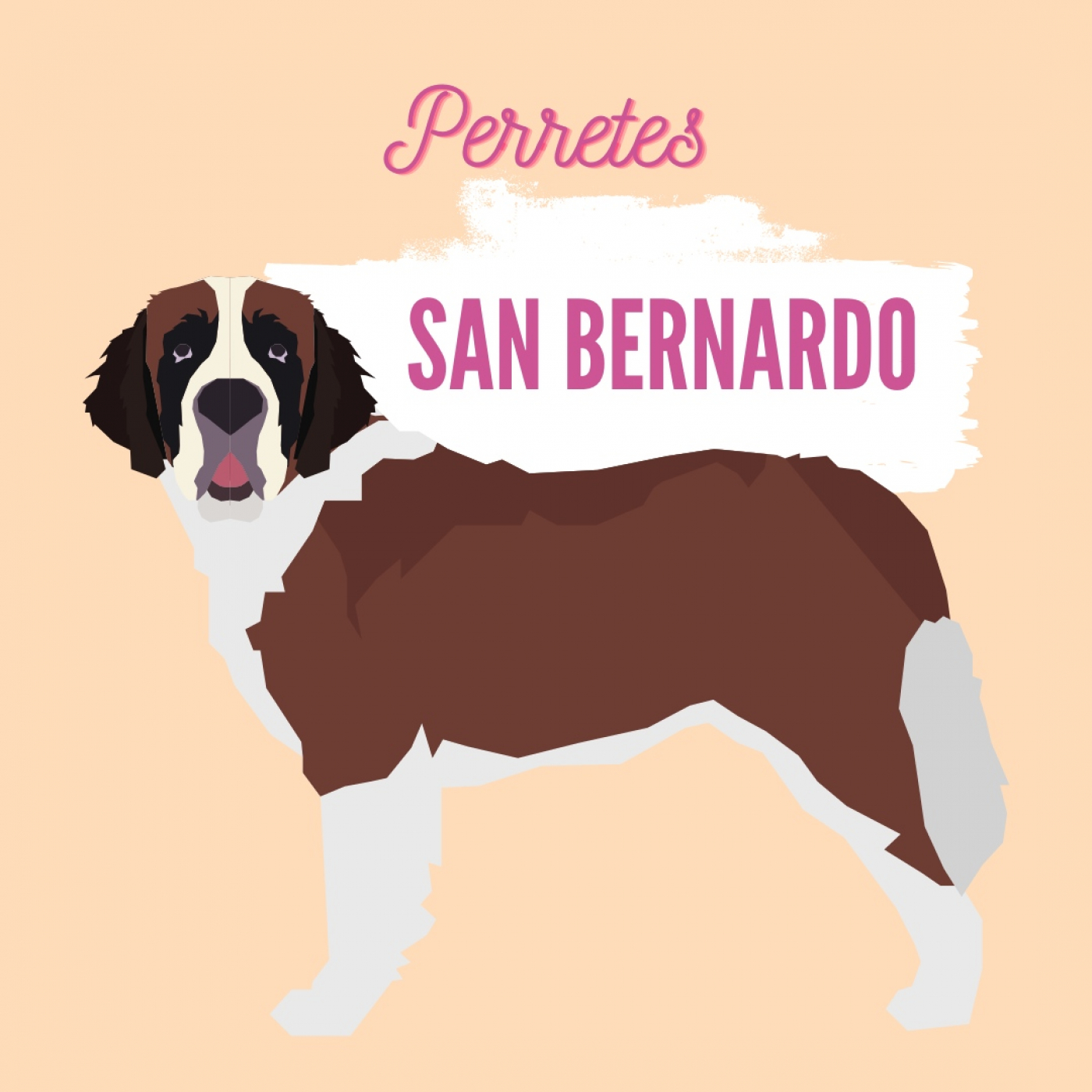 Ep50: San Bernardo