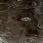 embed image