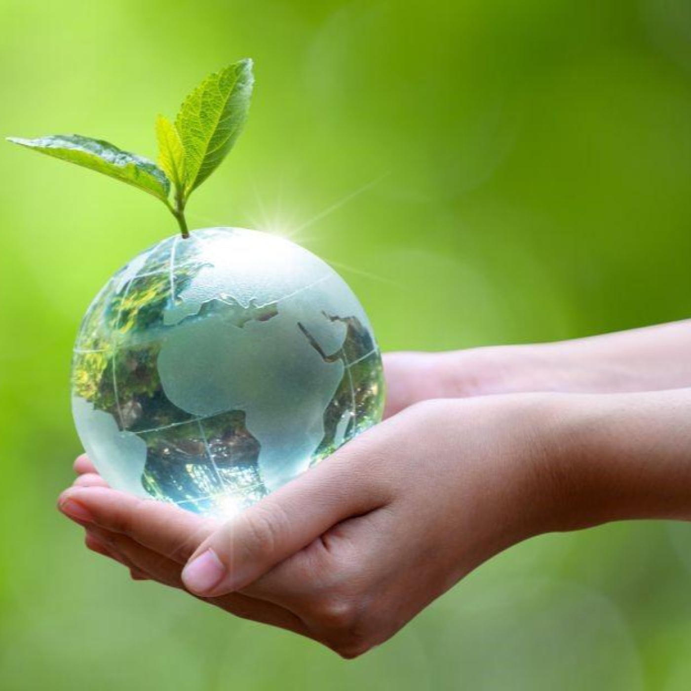 ¿Por qué ignoramos la crisis ambiental?