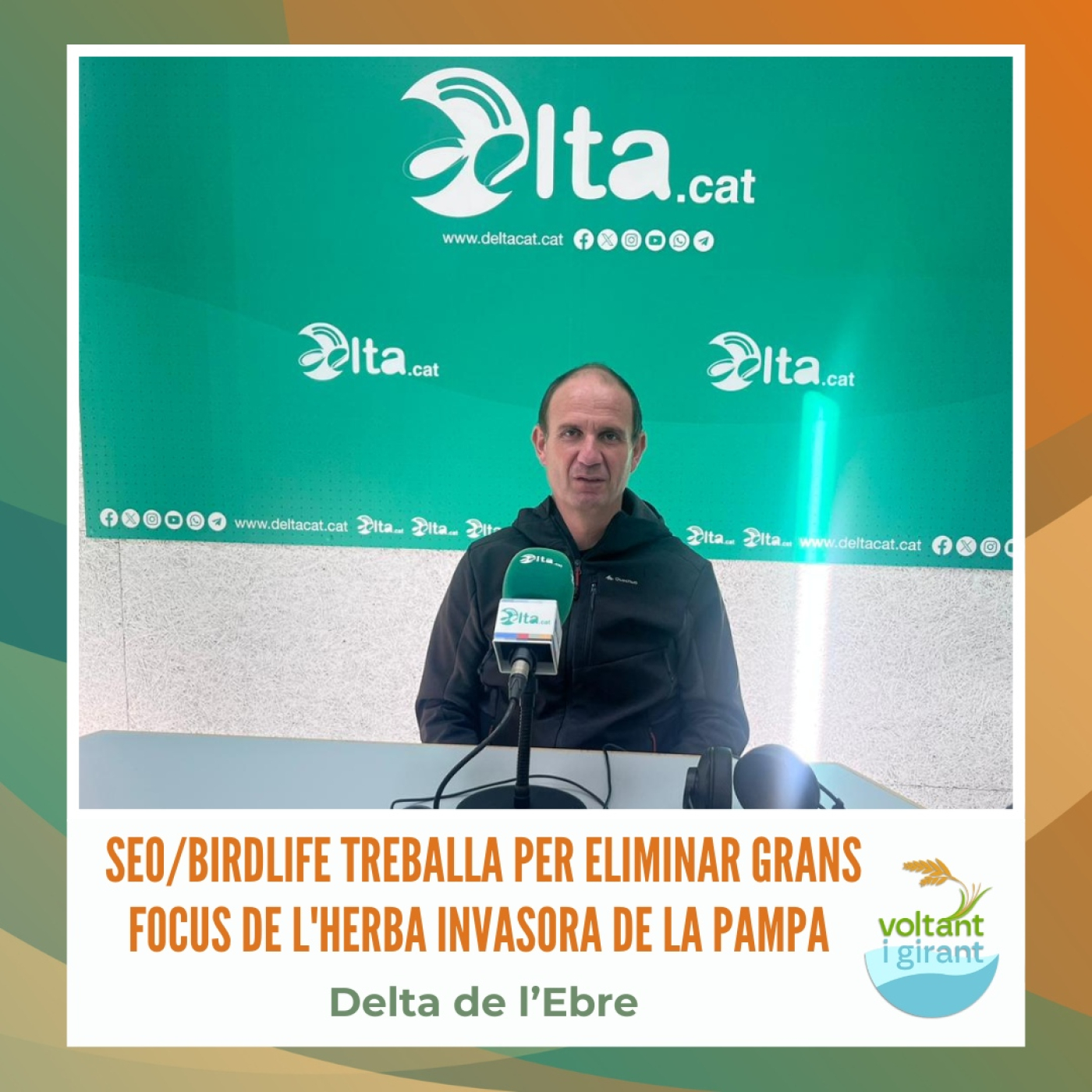 Seo/BirdLife treballa per eliminar grans focus de l'herba invasora de la pampa episode artwork