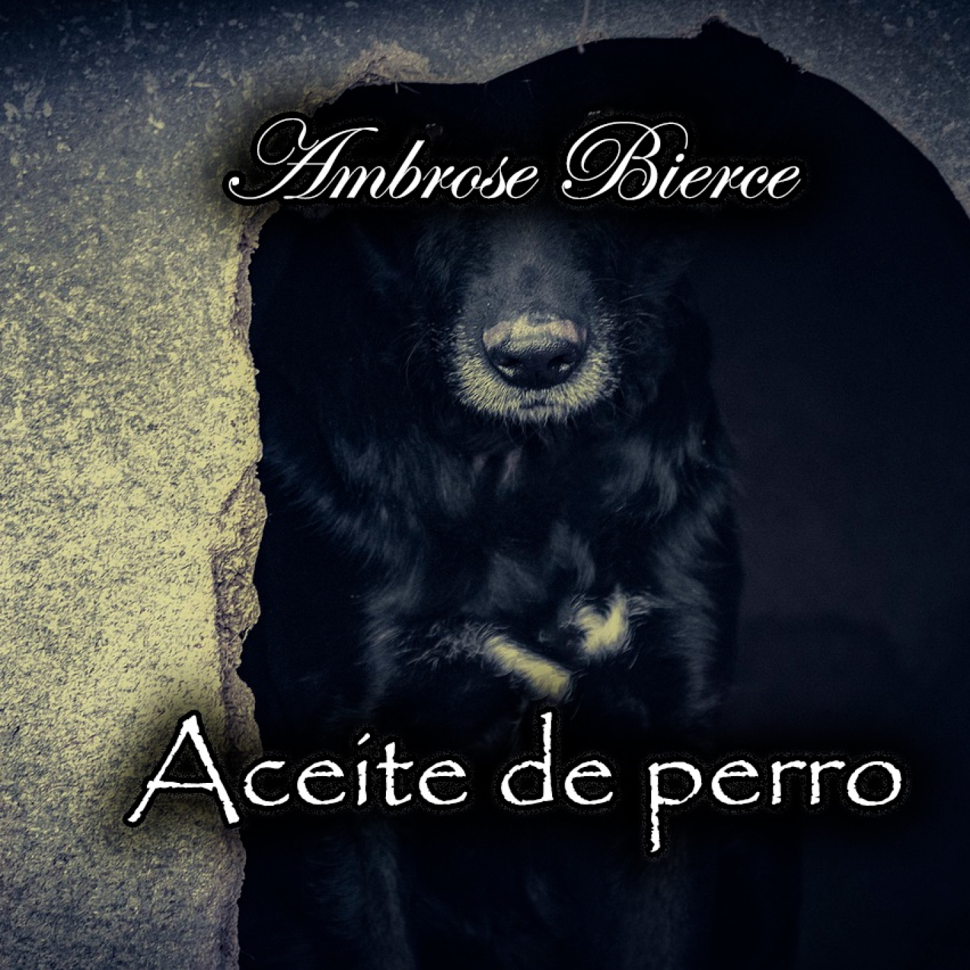 El Desván de los Cuentos Perdidos - Audiolibros