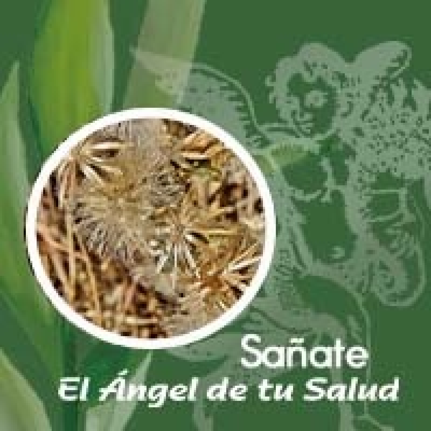 El Ángel de tu Salud - Sañate** episode artwork