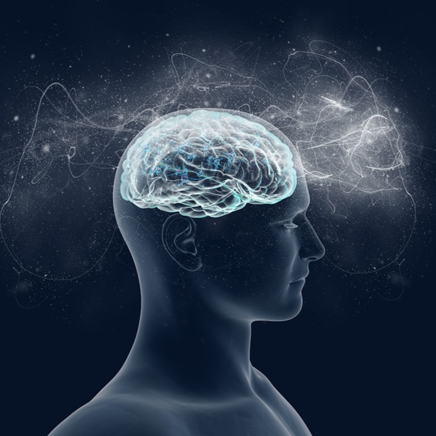 1279 - El Gen que hizo especial nuestro cerebro - Redifusión