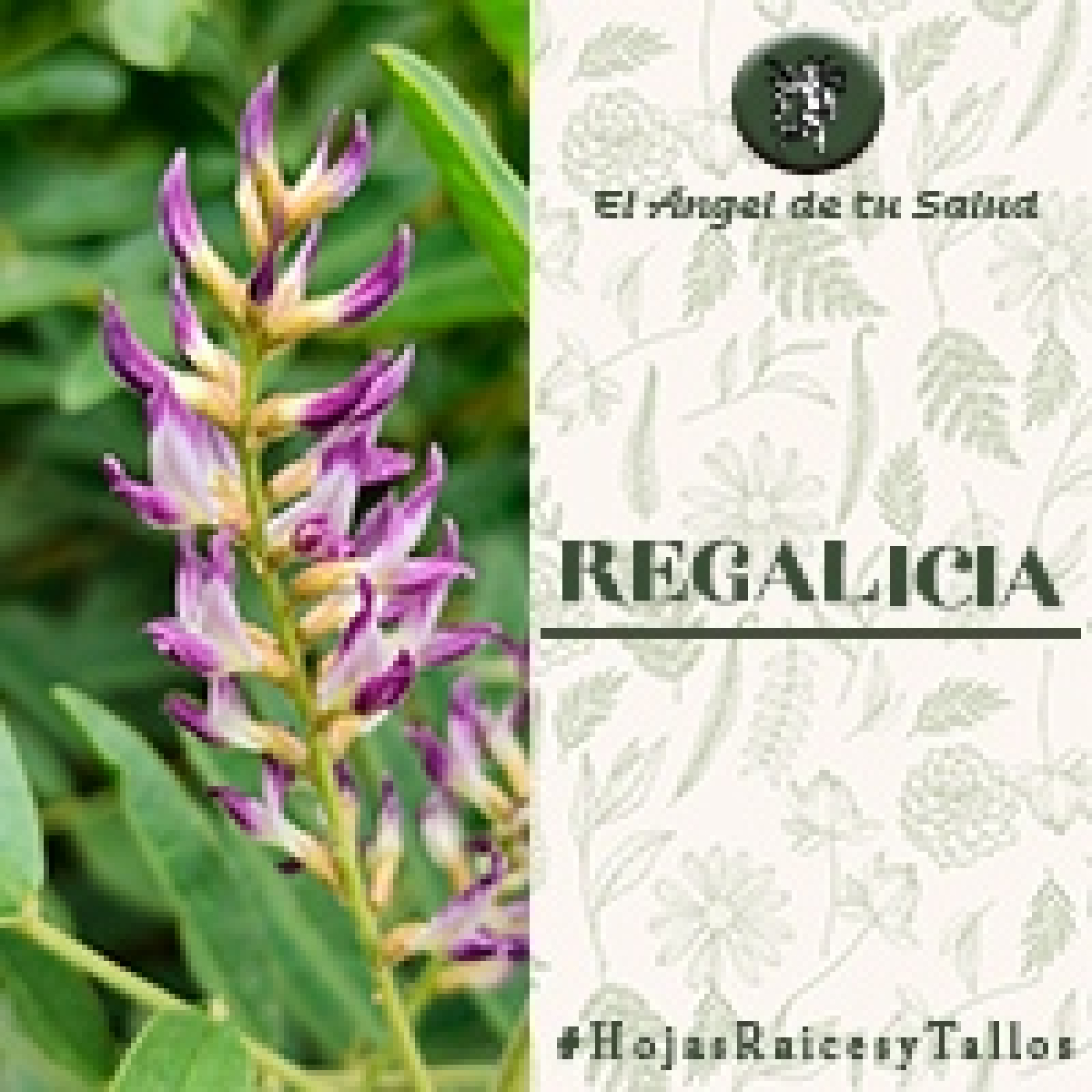 El Ángel de tu Salud - Regalicia** episode artwork