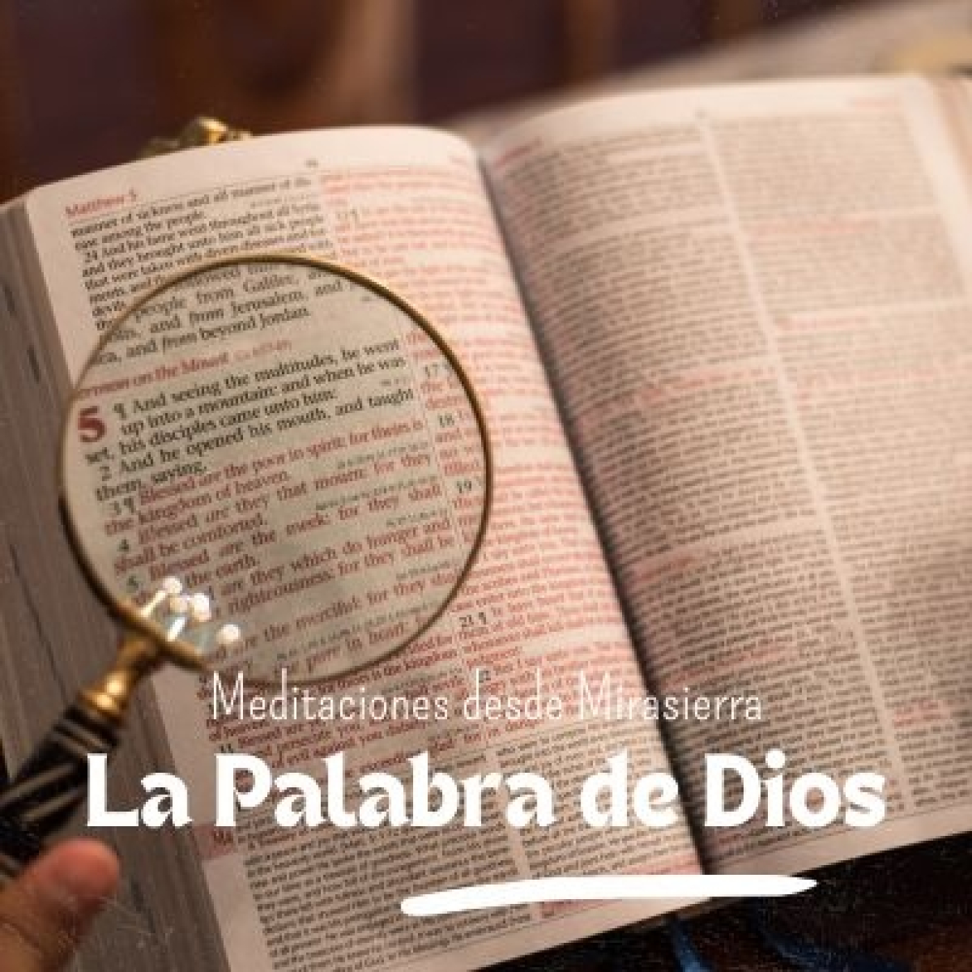 Meditaciones desde Mirasierra