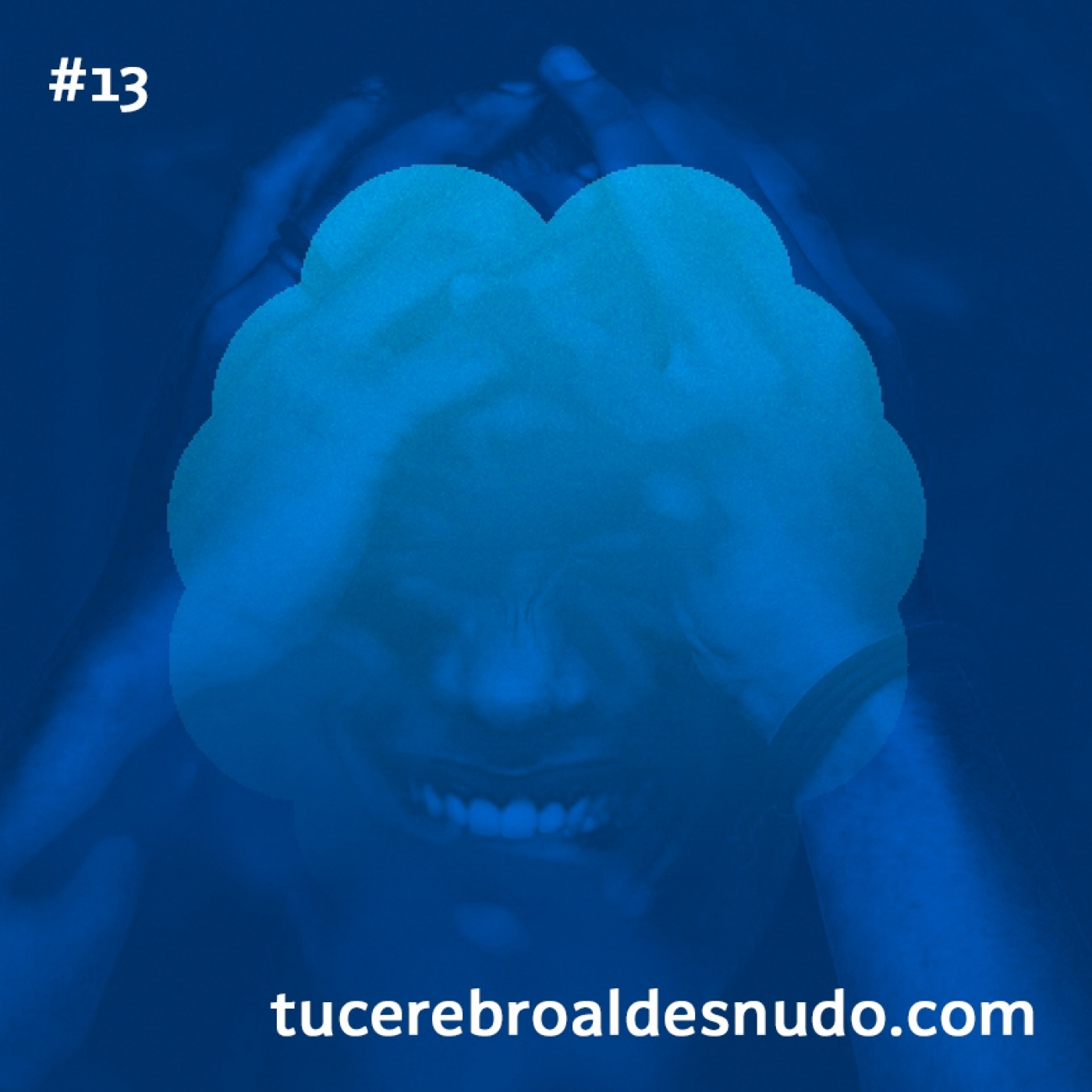 Cerebro Injodible®
